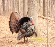 2014 04 27 WestwoodHills 005